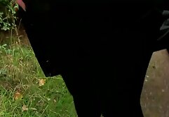 Desi rusa tetona follando pros